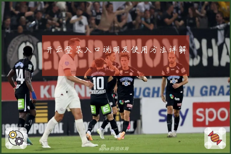 开云登录入口说明及使用方法详解