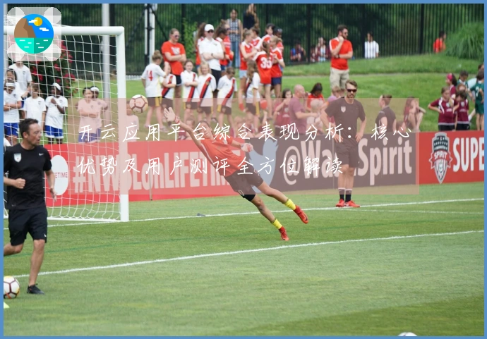 开云应用平台综合表现分析：核心优势及用户测评全方位解读